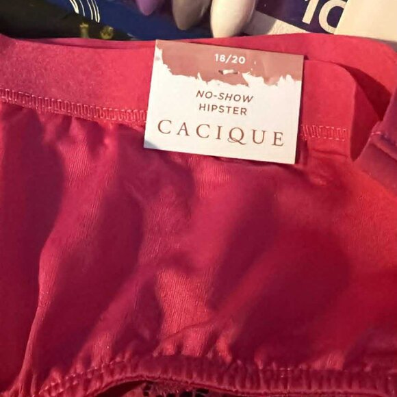 Lane Bryant Cacique 2 pairs - Hipster & Mid-Waist Cheeky - NEW W/Tags - Picture 4 of 7